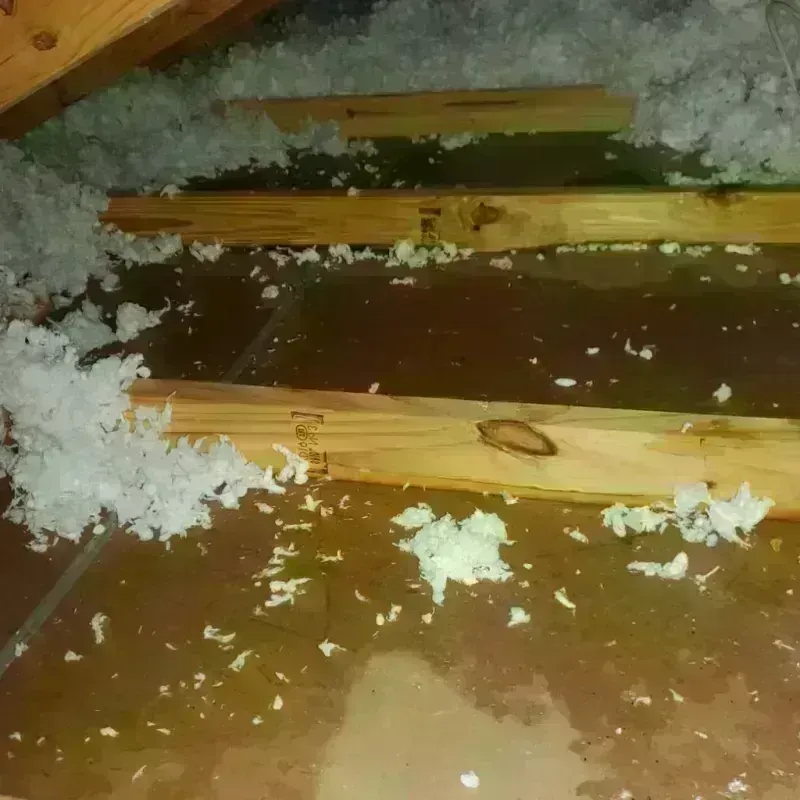 Attic Water Damage in Spanish Fork, UT